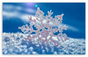 snowflake_2-t2